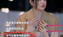 刘大锤爆料唐嫣视频,真相揭秘引网友热议